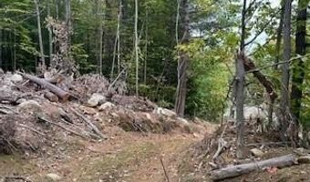 Lot 39 Orchard Street, Augusta, ME 04330