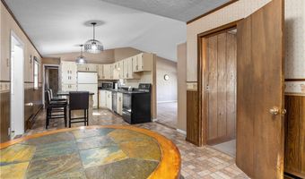 1246 Spruce Tree Ln, Amherst, OH 44001