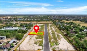 1405 S Michigan St, Alton, TX 78573