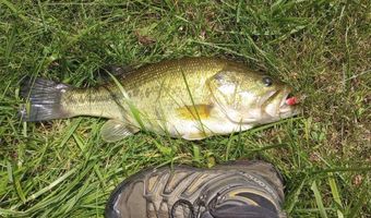 5143 N Hogan Rd, Aurora, IN 47001