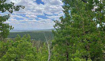 847 County Road 787, Alma, CO 80420