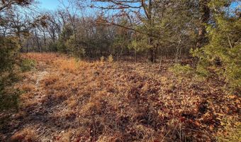 W Watson Creek Rd, Atoka, OK 74525