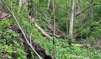 N3953-89 Bear Pen Road, Arkansaw, WI 54721