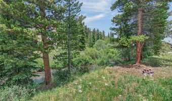 214 Mountain View Trl, Breckenridge, CO 80424