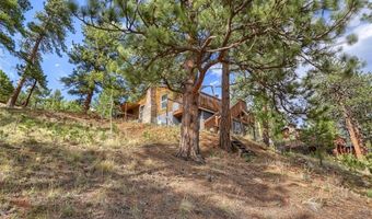 226 Hall Rd, Bailey, CO 80421