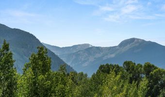627 E Hopkins Ave, Aspen, CO 81611