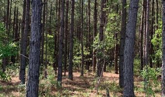 Pollett Road lot 29, Bartow, GA 30413