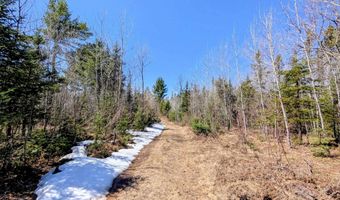8 Acres E Cable Lake Rd, Amasa, MI 49903