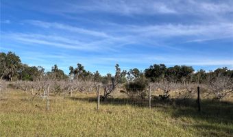 18250 RAVENSWOOD Rd, Altoona, FL 32702