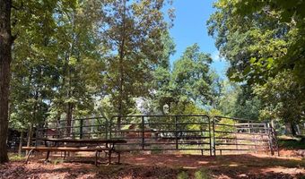 3204 Reavis Mountain Rd, Ball Ground, GA 30107