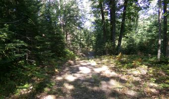 V/L 30AC Lake Winyah Road, Alpena, MI 49707