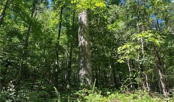 Fortner Road, Ball Ground, GA 30107
