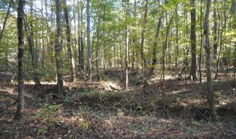 E-S Drive, Braxton, MS 39044