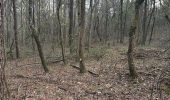 Hwy 9, Blue Springs, MS 38828