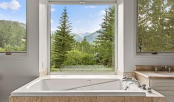 209 Larkspur Ln, Aspen, CO 81611