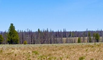 White Birch Lane lot 4, Bly, OR 97622