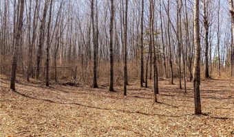 Tbd 285th Avenue, Akeley, MN 56433