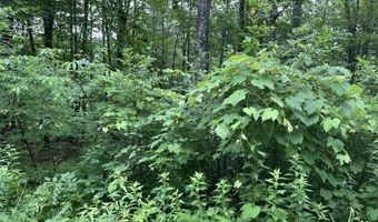 956 N Barnstead Rd, Barnstead, NH 03225