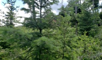Arlee Pines lot 21, Arlee, MT 59821