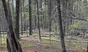 Lot 141 Back Basin Rd, Angel Fire, NM 87710