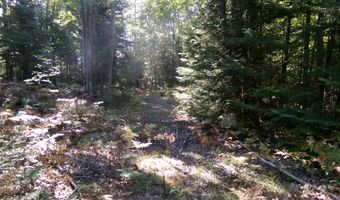 V/L 30AC Lake Winyah Road, Alpena, MI 49707