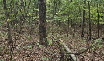 New Bethel Road, Anderson, MO 64831