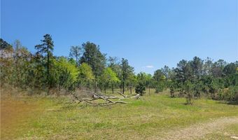 601 HERBERT BROWN Rd, Auburn, AL 36830