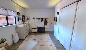 927 VINE St, Aspen, CO 81611