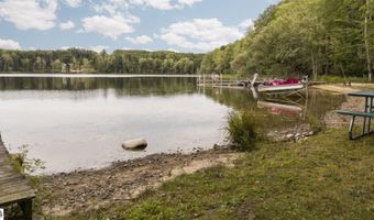 9550 Lakeside Dr, Alden, MI 49612