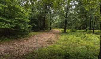 1569 Spider K Rd, Anderson, MO 64831