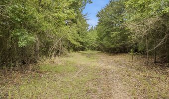 115355 115353 CR 2501, Alto, TX 75925