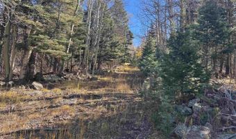Rainbow Overlook lot 1227, Angel Fire, NM 87710