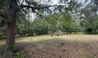 24138 PANTHER Rd, Astor, FL 32102