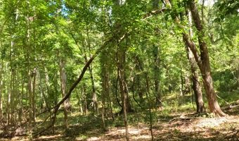 0 Hwy 24 Tract A, Woodville, MS 39669