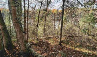TBD 5.5ac Fishing Site 1, Amasa, MI 49903