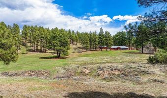 841 Beaver Creek Dr, Bayfield, CO 81122