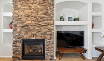 4502 S WILDFLOWER Pl, Chandler, AZ 85248