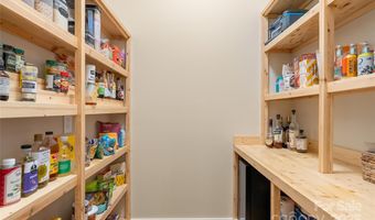 14 Starling Pass, Asheville, NC 28804