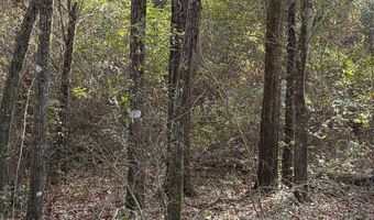 Old Faceville Rd lot # 4, Bainbridge, GA 39819
