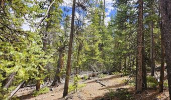 PCS # 10594 Looney Lane lot 0, Alma, CO 80420