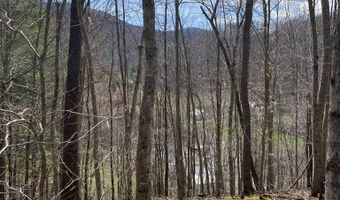 161 Daniels Rd Lot 0, Bandy, VA 24602