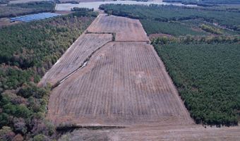 53 86 Acres-TBD Pate Rd, Bishopville, SC 29010