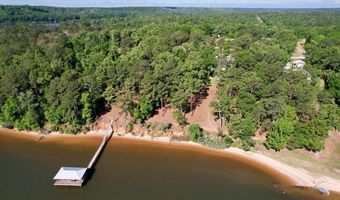 171 Lakeview Ter, Abbeville, AL 36310