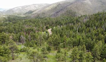 TBD Buckhorn Road, Bellvue, CO 80512