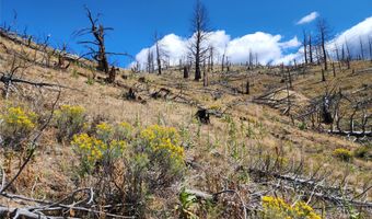 Nhn Plaindealer Lode Depot Hill Road, Boulder, MT 59632