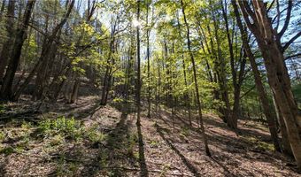 East River Road lot 5, Andes, NY 13731