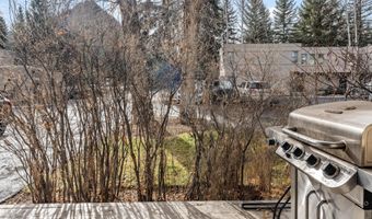 814 W Bleeker St C-1, Aspen, CO 81611