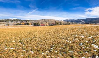 125 YELLOW ROSE Dr, Alta, WY 83414