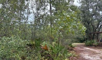 4539 NW Miller/White LN Rd, Altha, FL 32421
