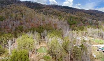 1693 Steve Brown Rd, Bean Station, TN 37708